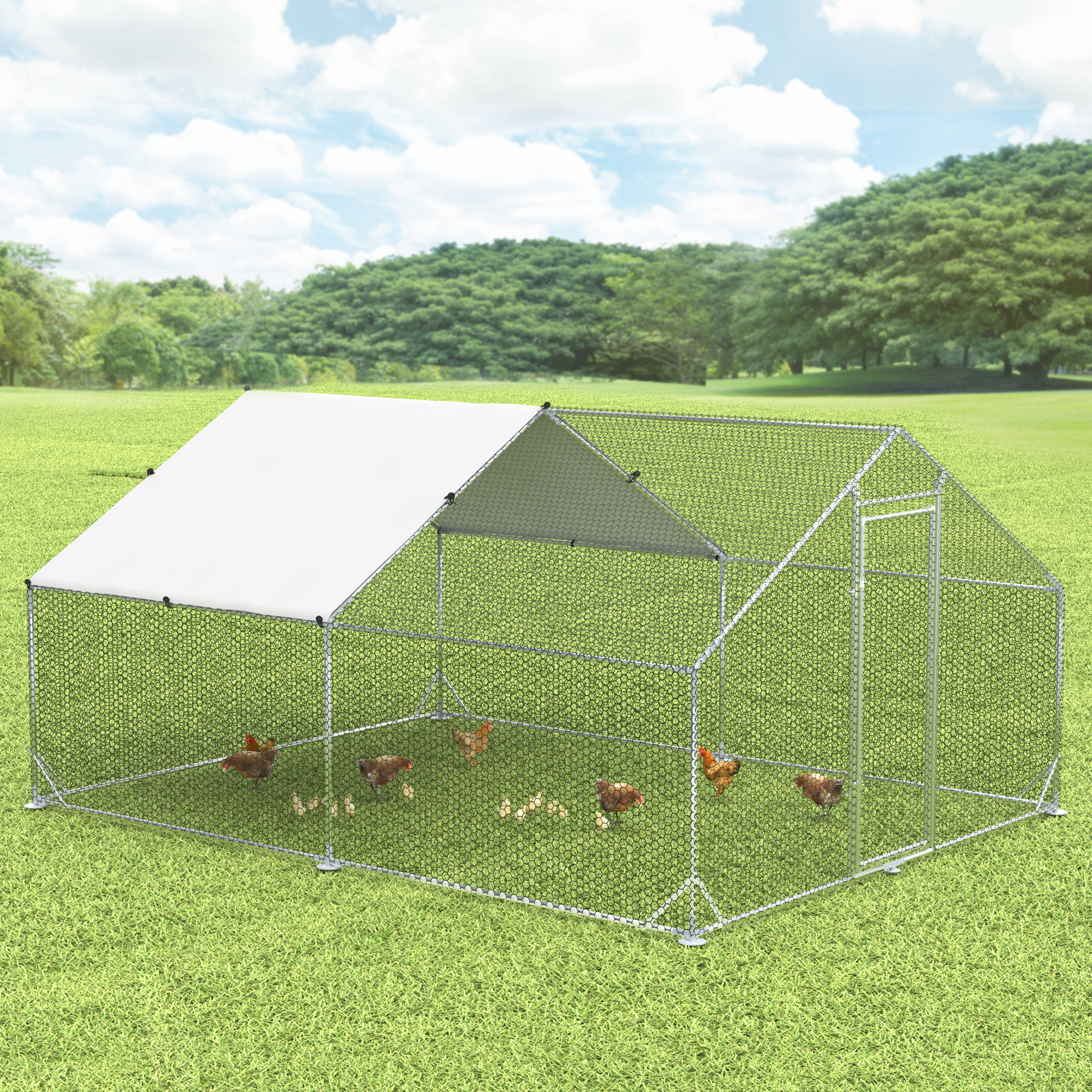 Tucker Murphy Pet™ Deepla Chicken Run & Reviews Wayfair