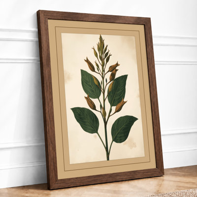 Specimen Botanical - Print
