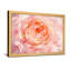 Plantes et fleurs, art floral rose-527217511-527217509-527217508