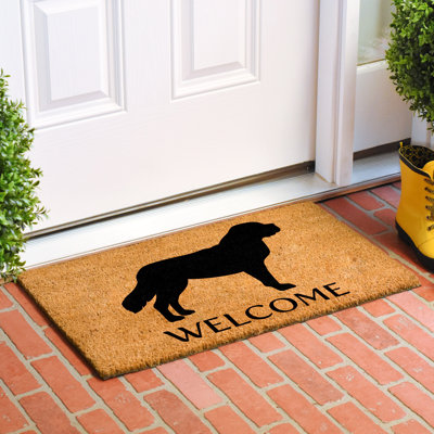 Tapis d'entrée antidérapant St. Berbard