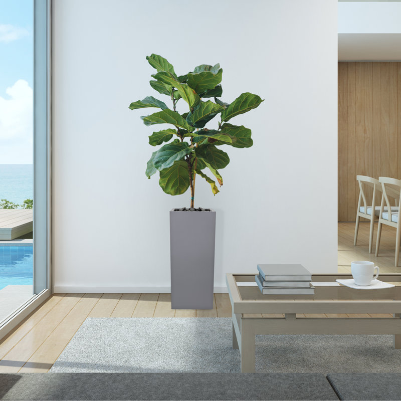Boîte à fleurs en acier galvanisé Kenelm, H 28 po x l 12 po x P 12 po