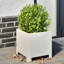 Planter Box-104931243-108202637