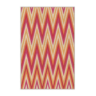 Washable Indoor Rug