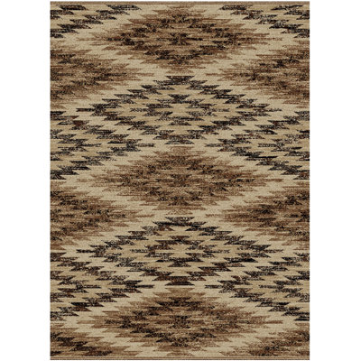 Southwestern Indoor Rug