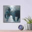 «Elephant» par Linda Woods sur métal-530039957