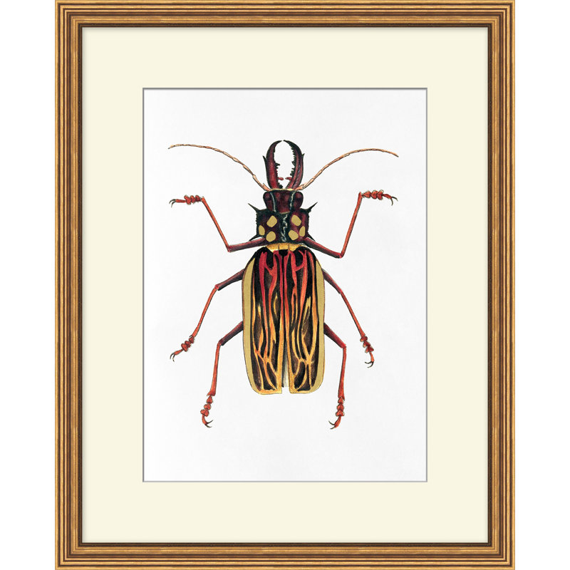 Gilded Beetle 2 Print by Lillian August