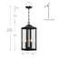 Lanterne suspendue d'extérieur H 20 po Gaudencia-578178903