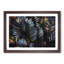 Plant Leaves - Framed Print-56758629-56758631