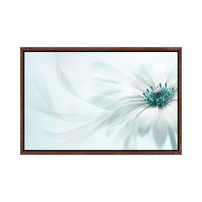 Purity - Print on Canvas, 101.6 cm H x 66.04 cm W, Classic Brown Wood Framed