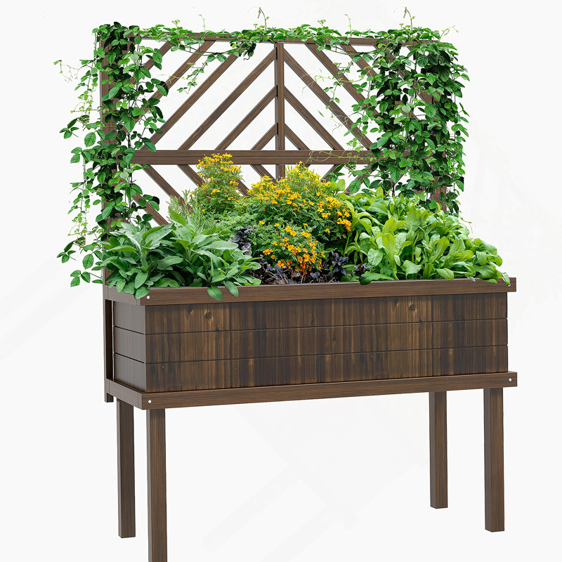 Asie Wood Elevated Planter