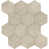 Elegant Beige