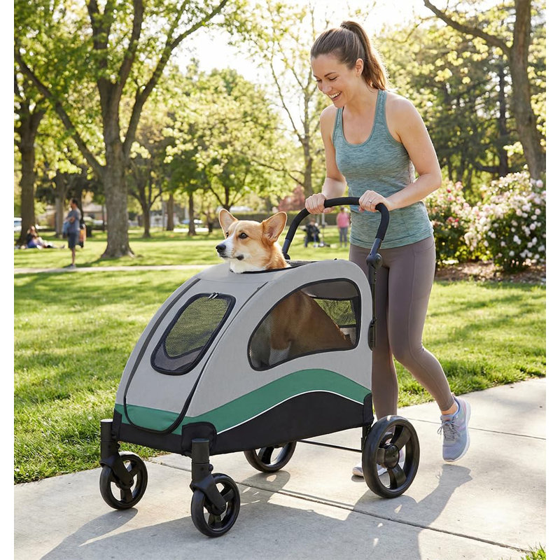 Poussette pour chien robuste et pliable pour grands chiens pesant jusqu'à 160 lb, Vert