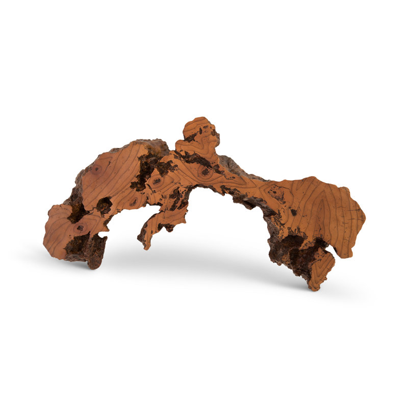 Cast Naturals Burled Root Wall Décor