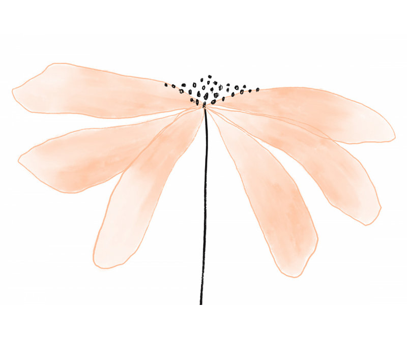 Wrapped Canvas Print, 81.28 cm H x 121.92 cm W
