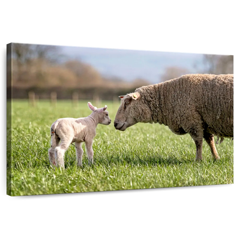Brampt Sheep Love, 26" H x 39" W