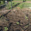Support de plante galvanisé Bowermaster-27157351-27157358