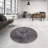 Oriental Indoor Rug-247065004