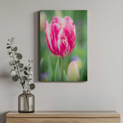 «Pink Tulip Blossoms I» par Sonja Quintero, reproduction d'art sur toile