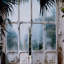 Greenhouse II Print by Annie Spratt-1952287194