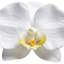 Arrangement floral artificiel