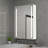Dharamvir 6 " W X 20 " H Surface Frameless Medicine Cabinet