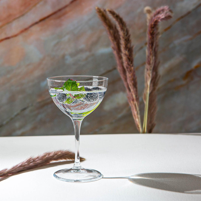 Bartender Novecento Martini Glasses - 235ml, 6