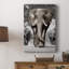 Patriarche du Botswana - galerie Cavas sur mesure-117692363