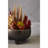 Fiori 24cm Faux Succulent in Ceramic Pot