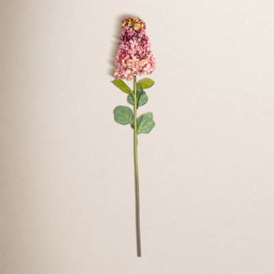 Hydrangea Floral Stems