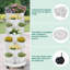 Pot à fleurs vertical à 7 étages avec poteau de soutien Strawberry-1693659596