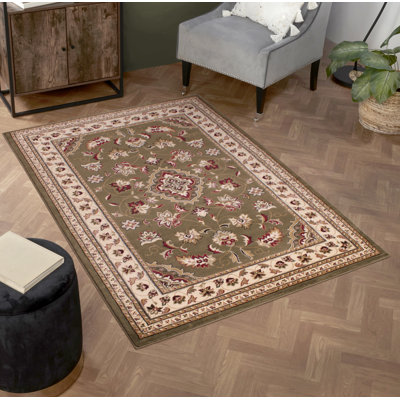 Salsbury Oriental Hand Woven Area Rug