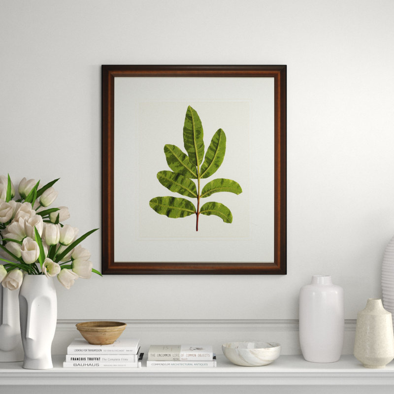 A Little Piece Of Nature I Print