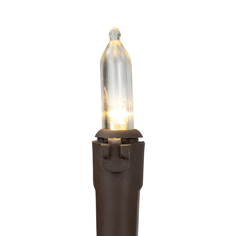 Guirlande de 100 lumières DEL, Blanc chaud / brun, 50