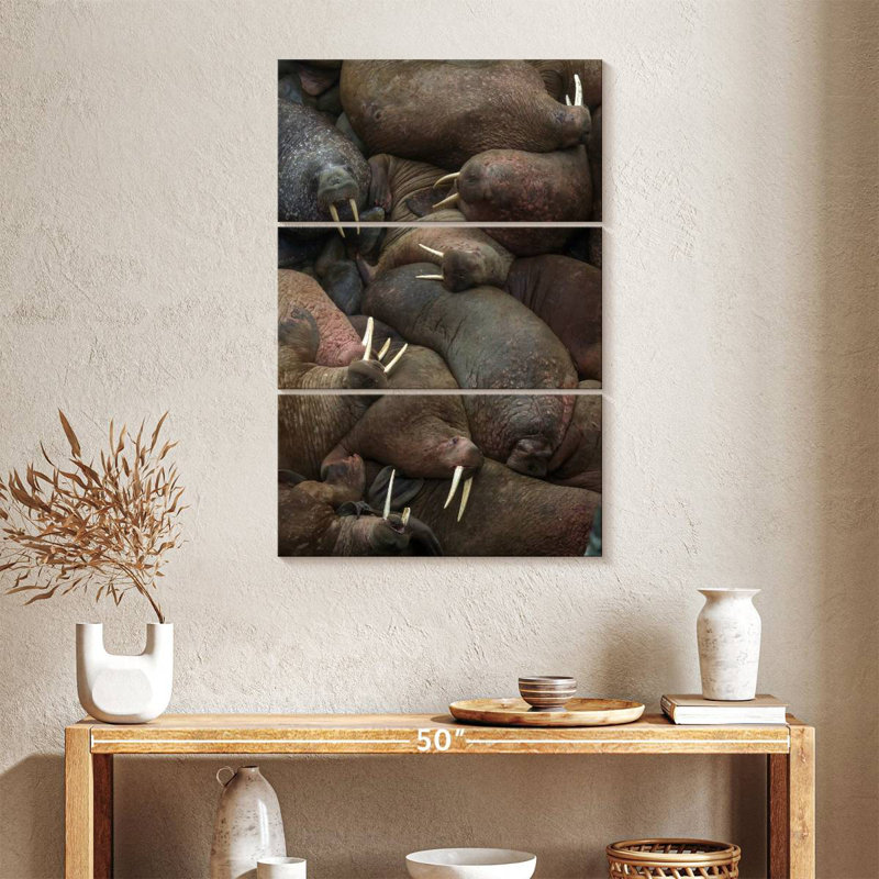 Brampt Walrus Rookery, 38" H x 24" W