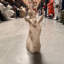 Petite statue tête de cheval