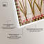 Décoration murale rustique «I Shadowbox» par Art Remedy, cadre blanc, 25 x 37-436473610-436473609