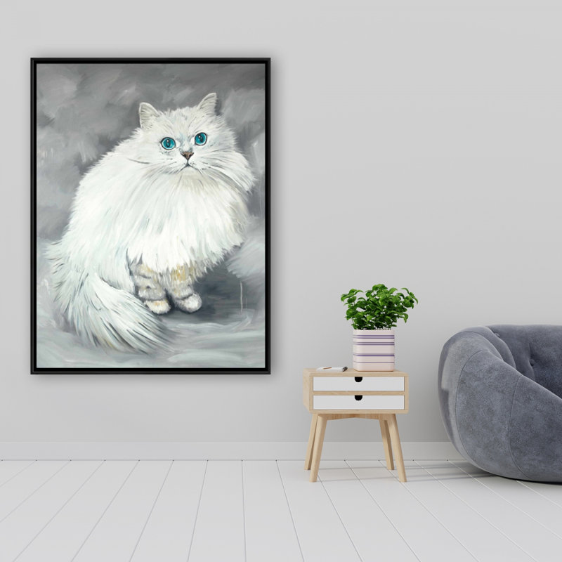 Chinchilla, chat persan