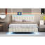 Kleomenis Upholstered Platform Storage Bed-1062185880-1070690963