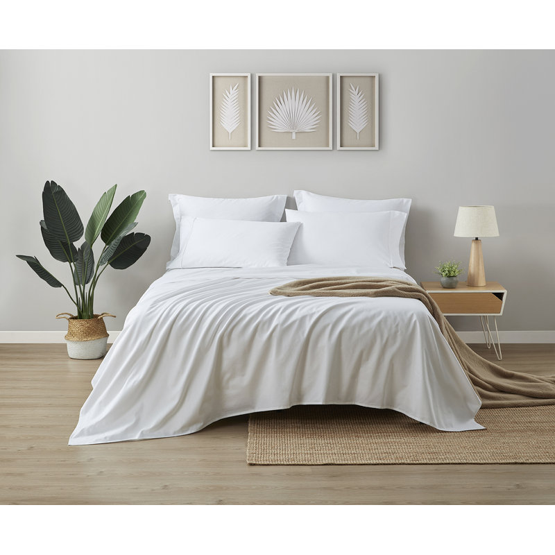 Ensemble de draps pour chambre d'amis 4 pièces 100% coton, Ensemble de draps pour grand lit + un drap-housse , Blanc