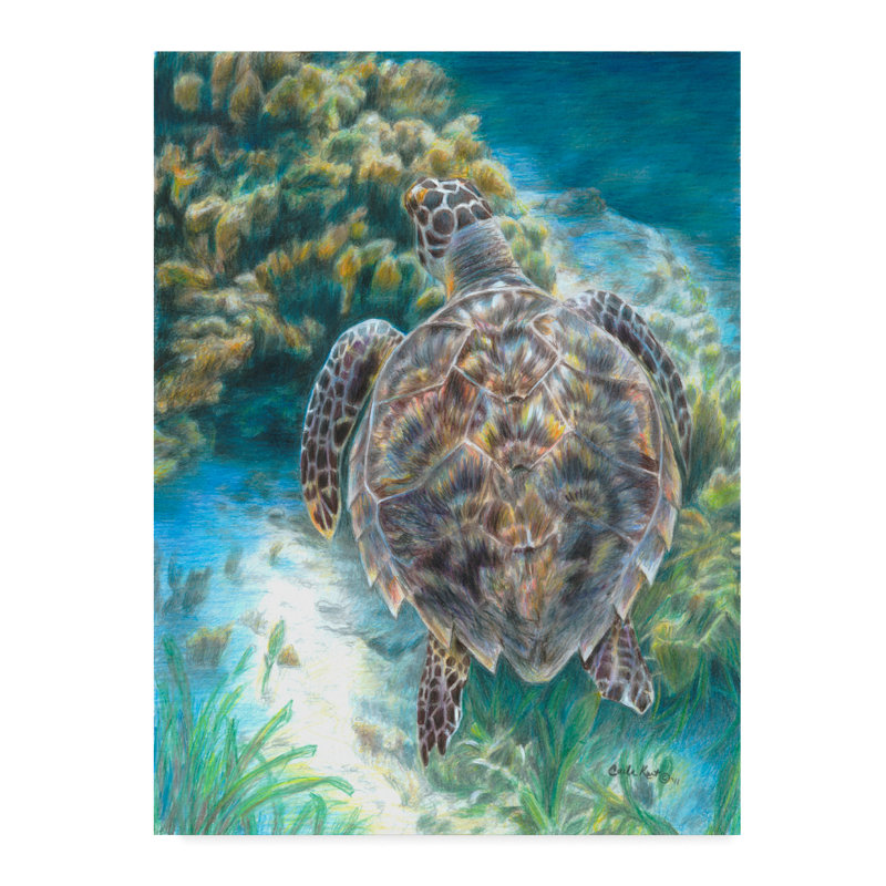 Natation de tortue de mer par Carla Kurt - reproduction, H 24 po x l 18 po x P 2 po