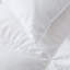 Coussin en coton (ensemble de 2)-1430100057