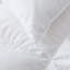 Coussin en coton (ensemble de 2)-1430100058