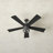 56'' Ceiling Fan with Light Kit-622829857