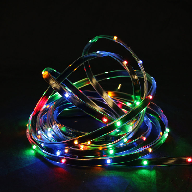 Ruban d'éclairage de Noël à DEL 18 po pour l'extérieur, Multicolore / Noir
