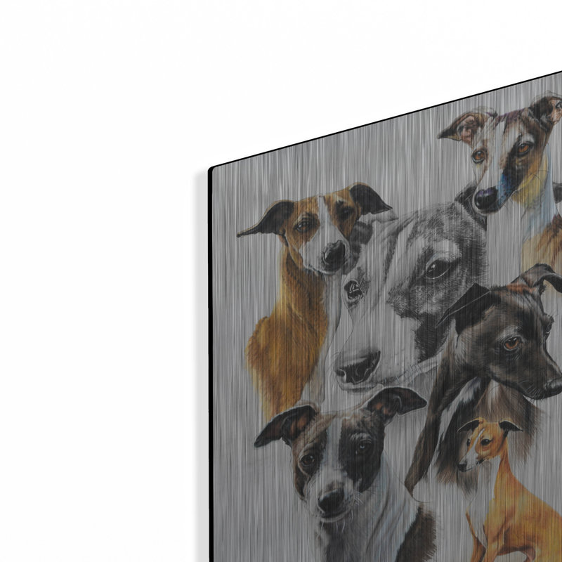 «Italian Greyhound Medley» par Barbara Keith, H 16 po x l 12 po