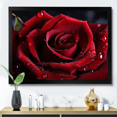 Rose rouge avec gouttes de pluie I - art mural floral encadré