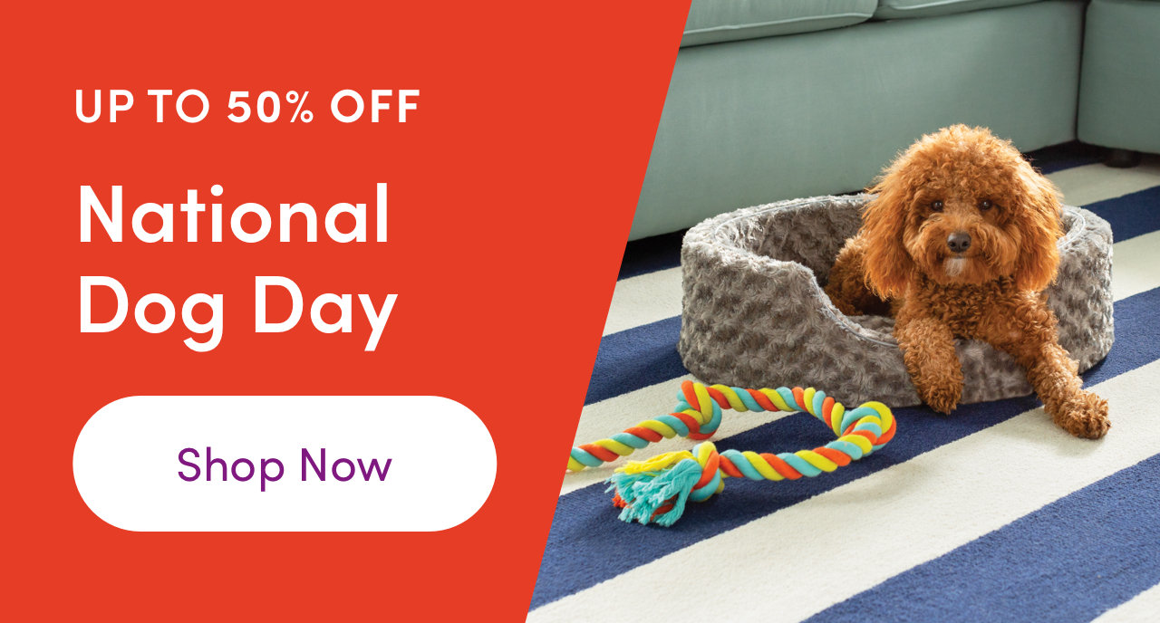 [BIG SALE] National Dog Day Deals You’ll Love In 2024 Wayfair