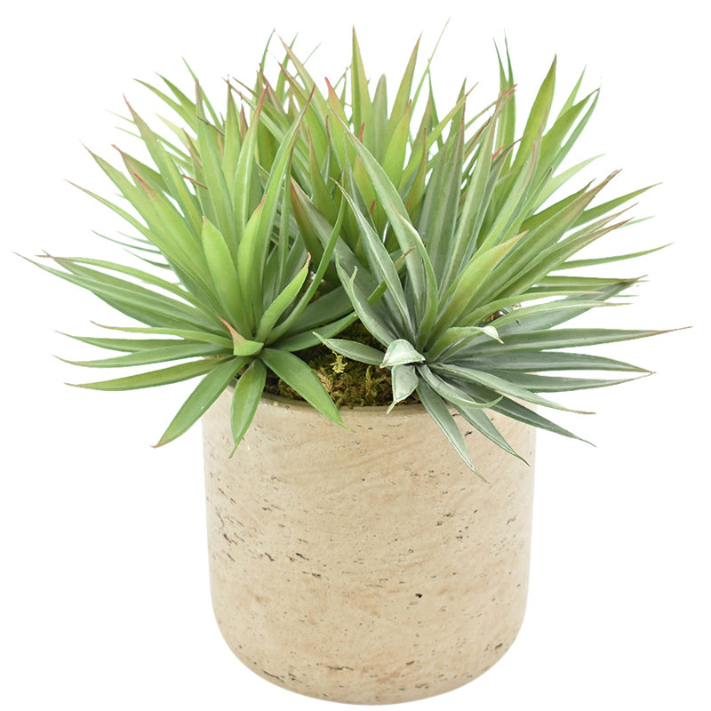 12'' Faux Succulent Plant in Fiberstone Pot
