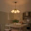 Collection Modern Floral Chandelier, luminaire suspendu en métal vert avec abat-jour en verre plissé à la main, hauteur réglable de 15 à 95 po, compatible avec un plafond incliné-224262569-224262572