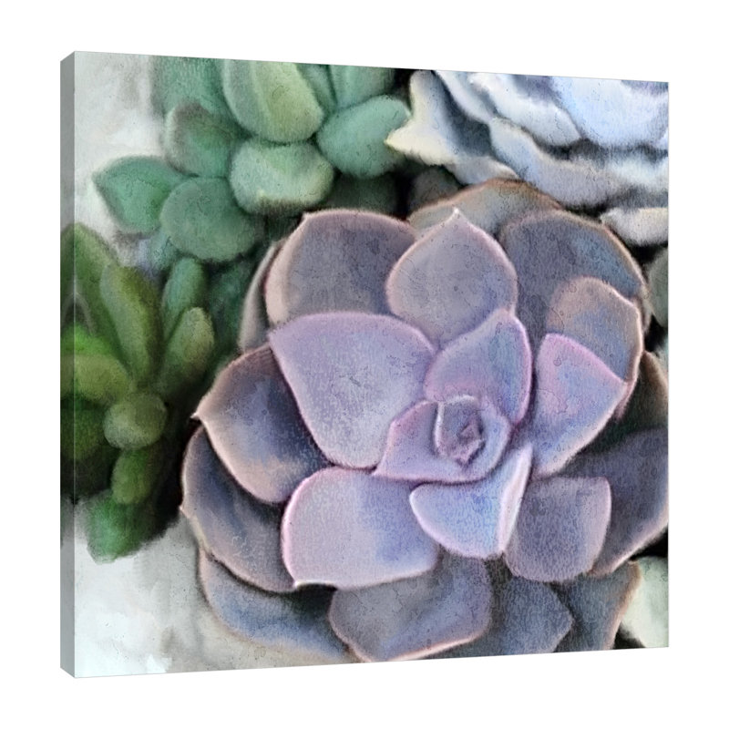 «Succulent Garden 3», toile tendue par Kimberly Allen, H 12 po x l 12 po x P 1,5 po